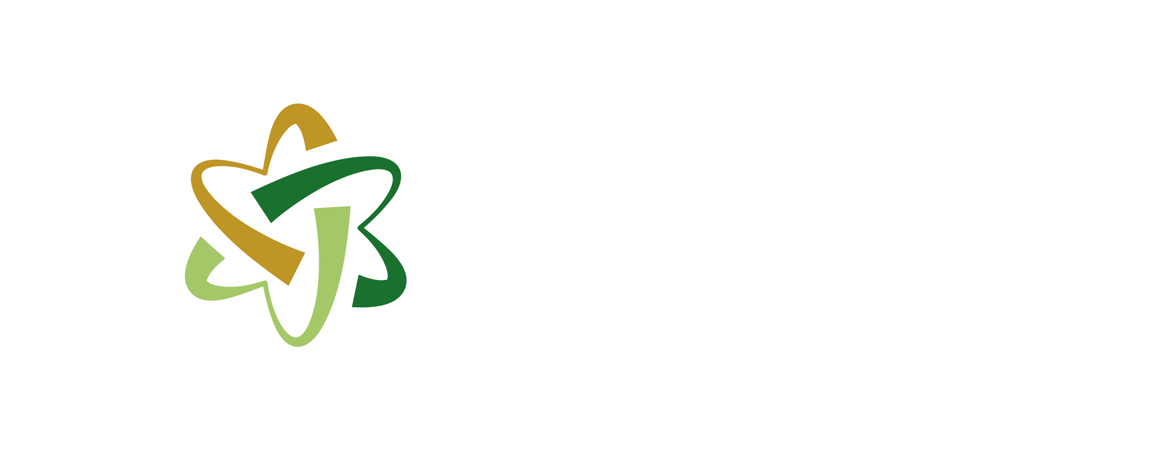 United In One Global Foundation